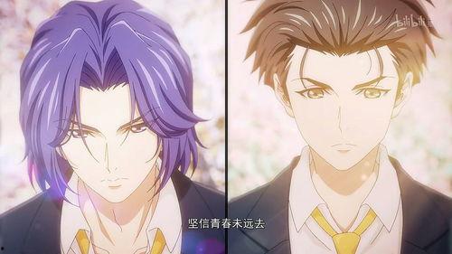 电视剧动漫,动漫与电视剧的奇幻融合之旅