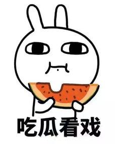 娱乐吃瓜是真是假啊