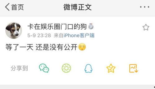 我爆料你吃瓜 营销号,揭秘“根据我爆料你吃瓜”营销号背后的秘密